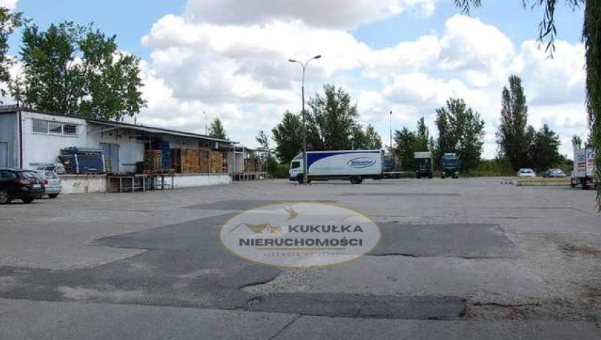 Lokal Wynajem Gorzów Wielkopolski