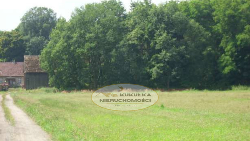 Działka Sprzedaż Łagodzin