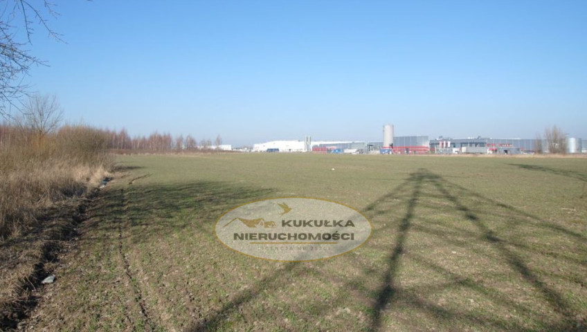 Działka Sprzedaż Gorzów Wielkopolski Chróścik