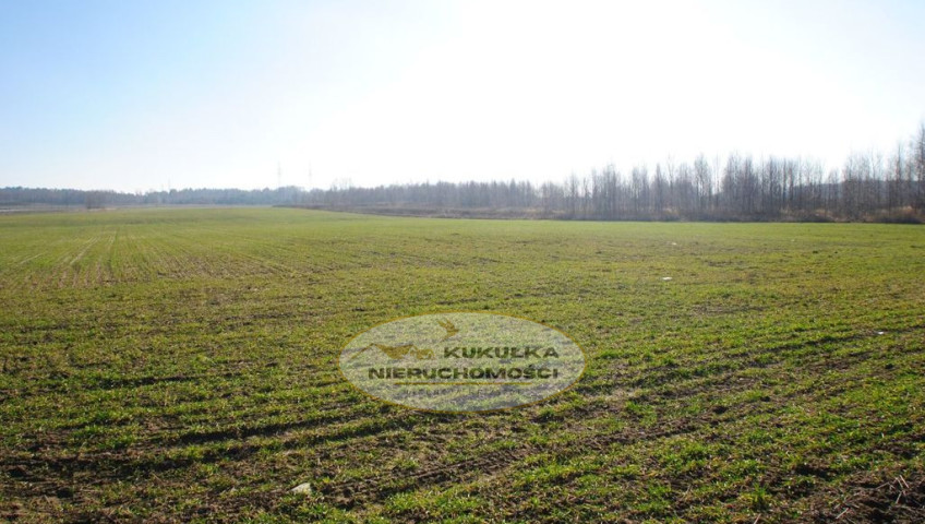 Działka Sprzedaż Gorzów Wielkopolski Chróścik