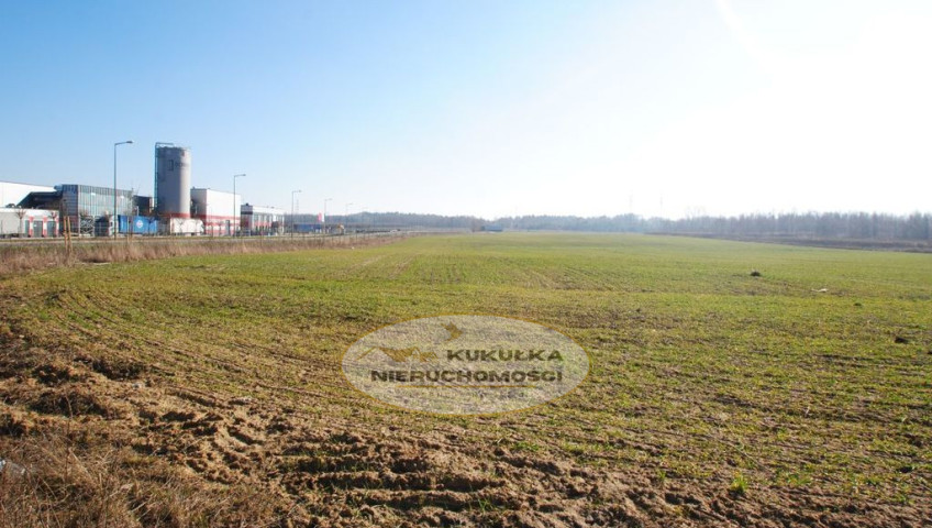 Działka Sprzedaż Gorzów Wielkopolski Chróścik
