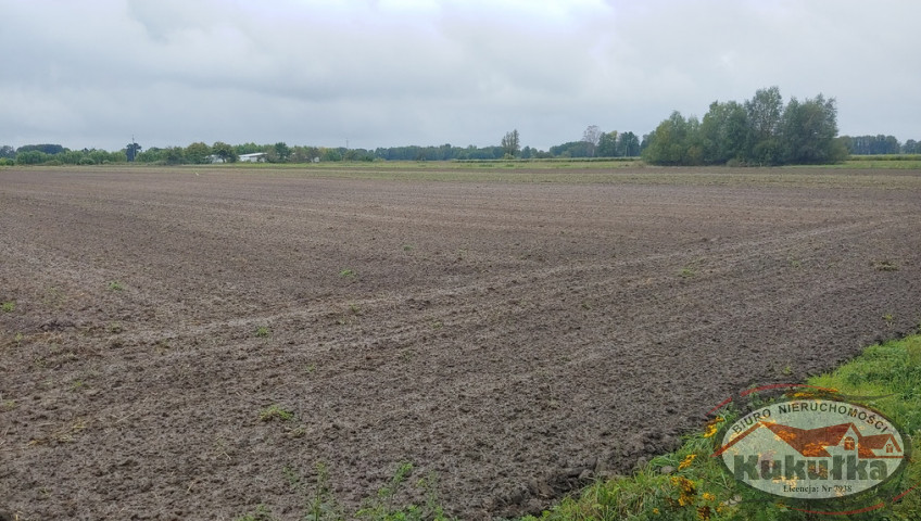 Działka Sprzedaż Gorzów Wielkopolski Zieleniec