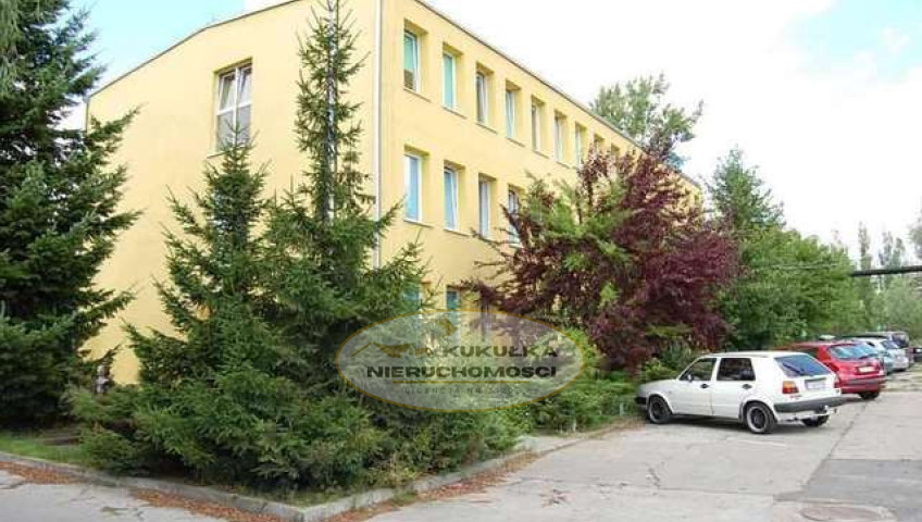 Lokal Wynajem Gorzów Wielkopolski