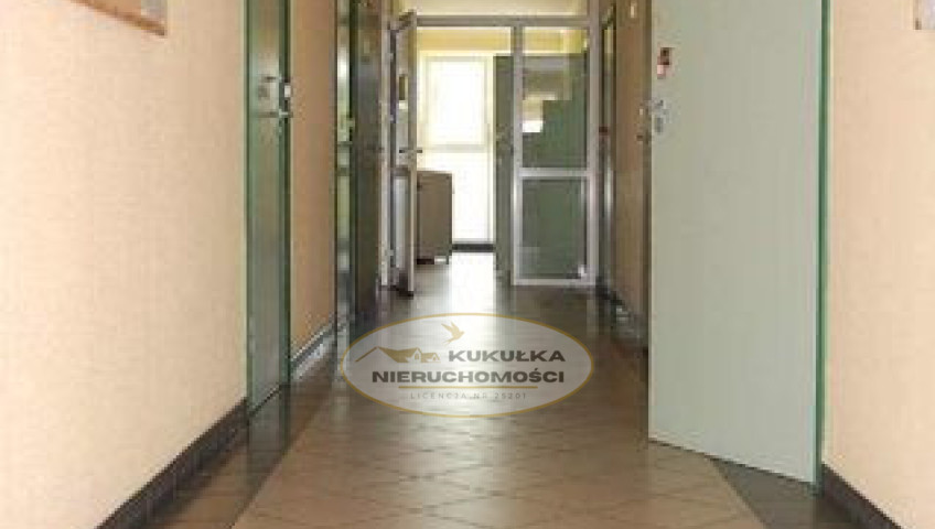 Lokal Wynajem Gorzów Wielkopolski