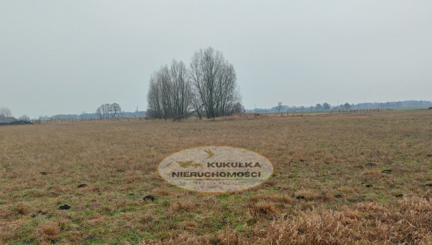 Działka Sprzedaż Łagodzin