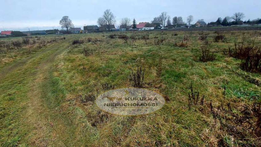 Działka Sprzedaż Białcz