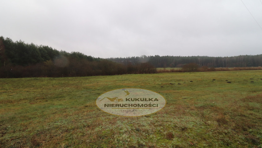 Działka Sprzedaż Brzeźno
