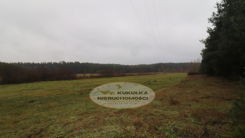 Działka Sprzedaż Brzeźno