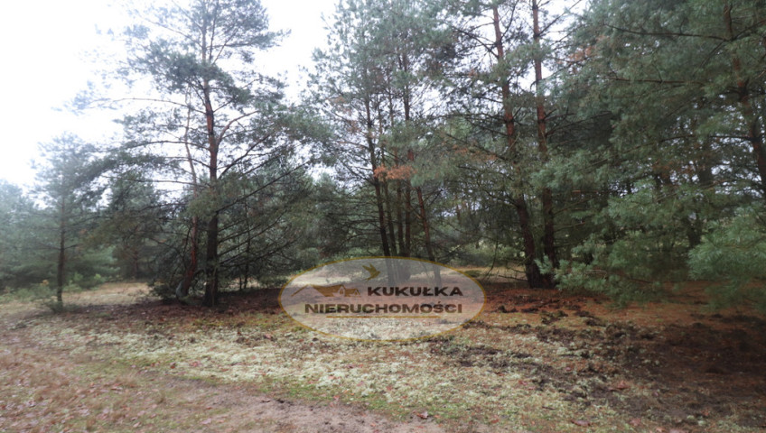 Działka Sprzedaż Brzeźno
