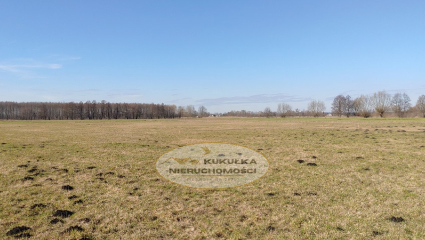 Działka Sprzedaż Bolemin