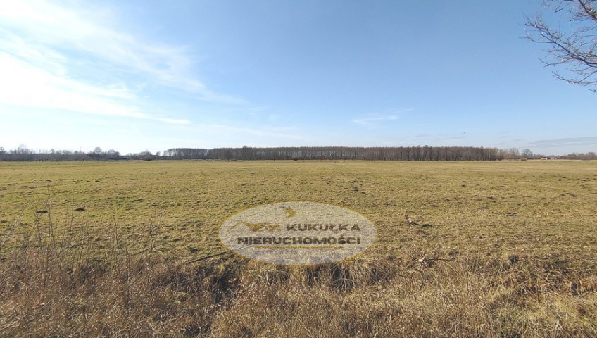 Działka Sprzedaż Bolemin