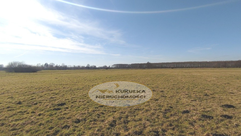 Działka Sprzedaż Bolemin