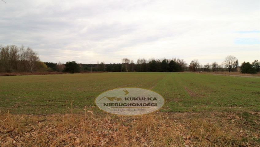 Działka Sprzedaż Gorzów Wielkopolski Chróścik