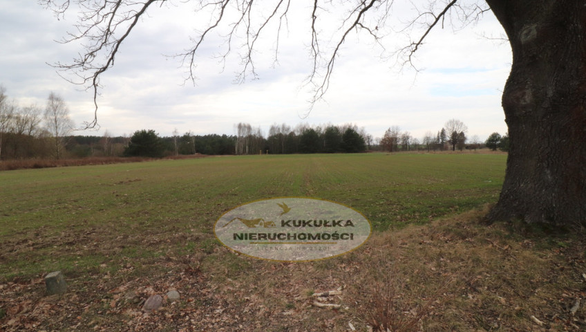 Działka Sprzedaż Gorzów Wielkopolski Chróścik
