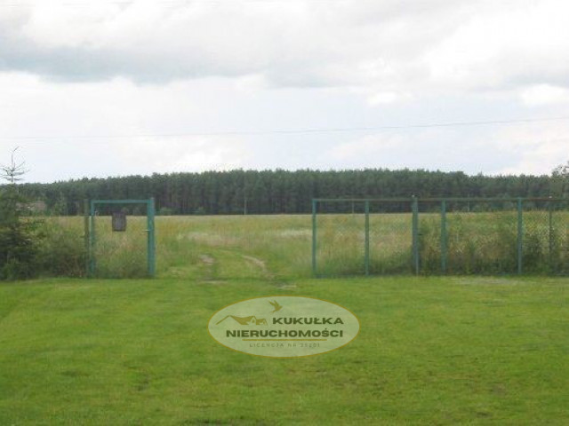 Działka Sprzedaż Witnica