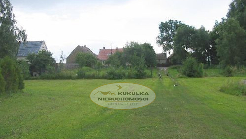 Działka Sprzedaż Witnica