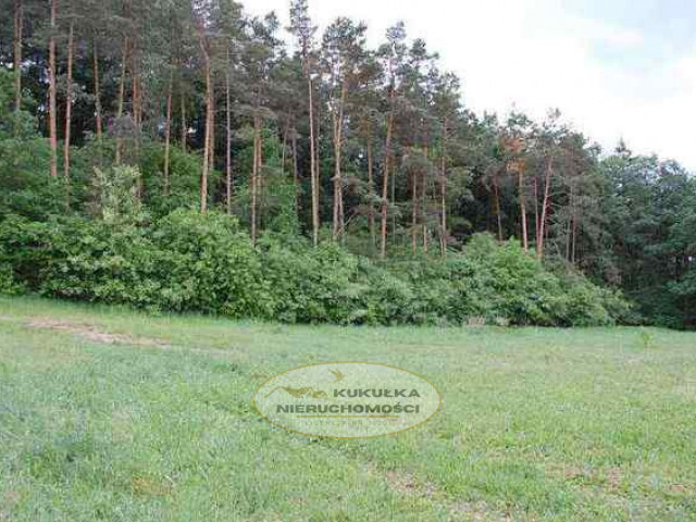 Działka Sprzedaż Stanowice