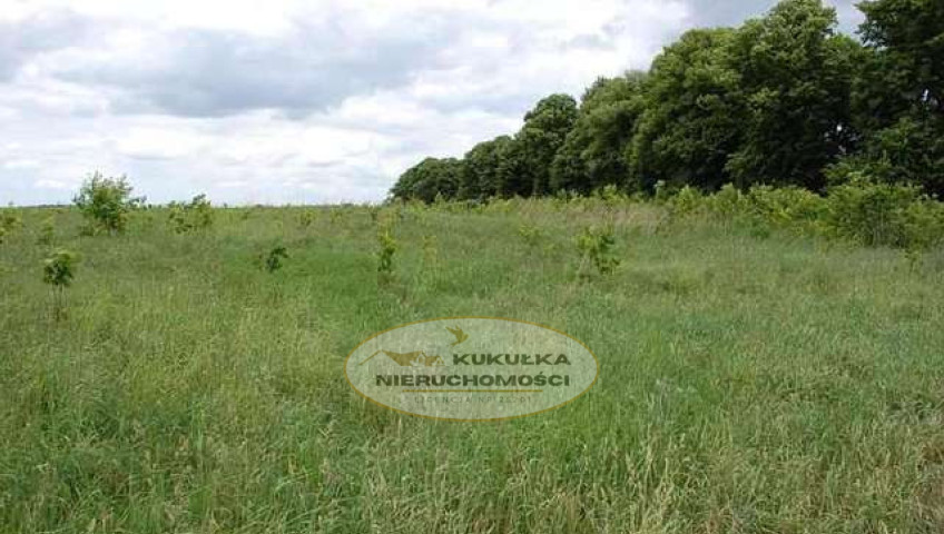 Działka Sprzedaż Stanowice