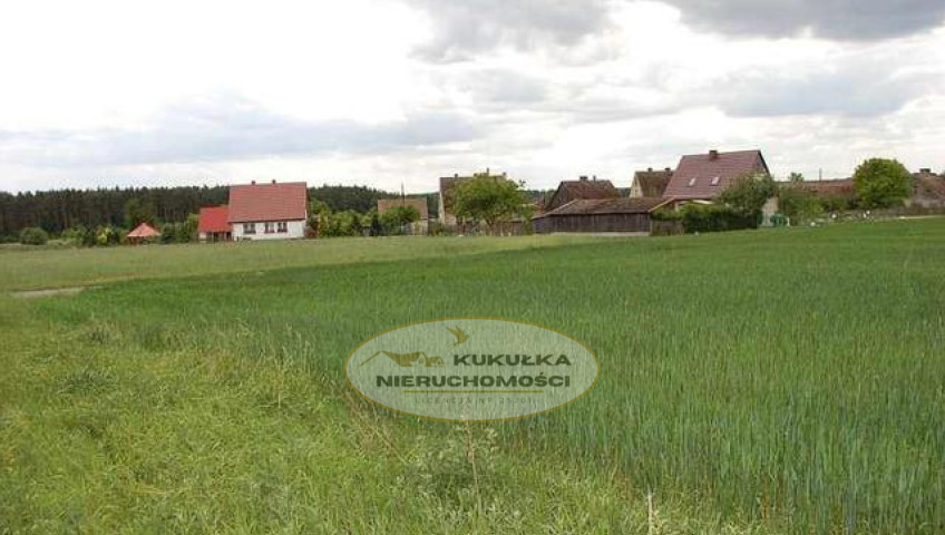 Działka Sprzedaż Stanowice