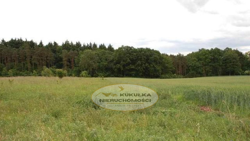 Działka Sprzedaż Stanowice
