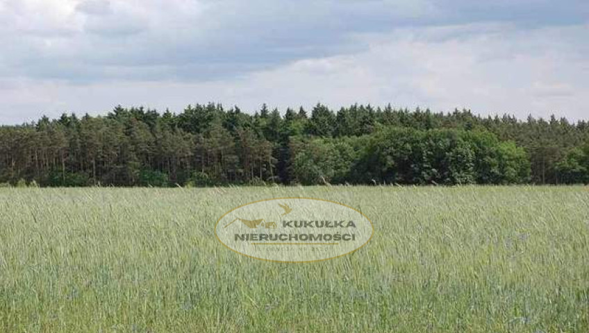 Działka Sprzedaż Stanowice