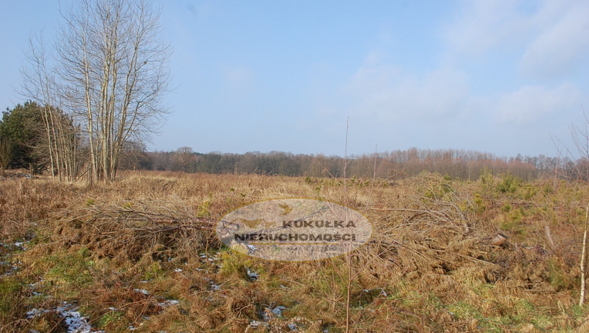 Działka Sprzedaż Lipinka