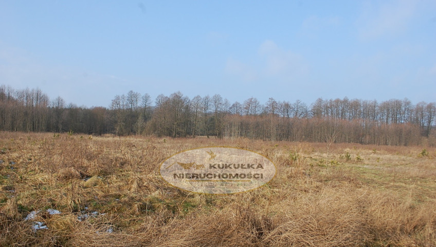 Działka Sprzedaż Lipinka