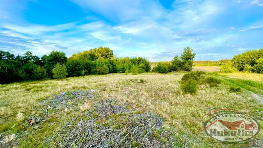 Działka Sprzedaż Gorzów Wielkopolski Zieleniec