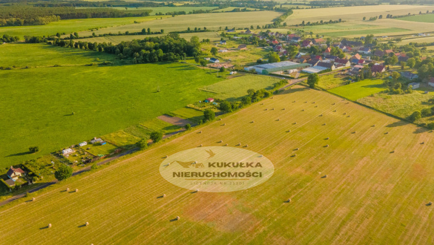 Działka Sprzedaż Świniary