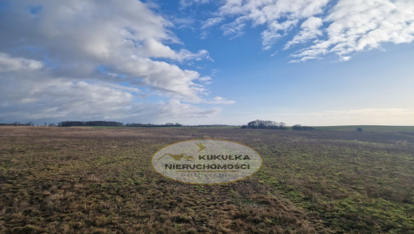 Działka Sprzedaż Janczewo