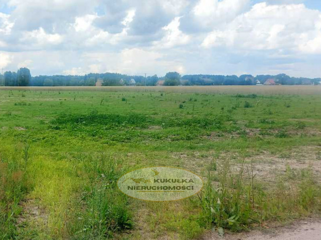 Działka Sprzedaż Dziersławice