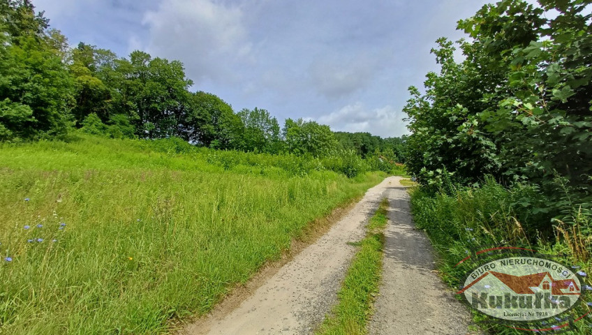 Działka Sprzedaż Jenin