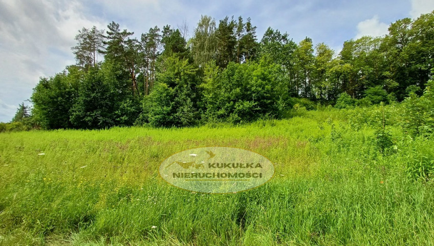 Działka Sprzedaż Jenin