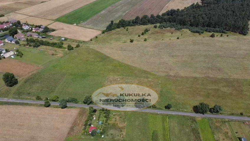 Działka Sprzedaż Świniary