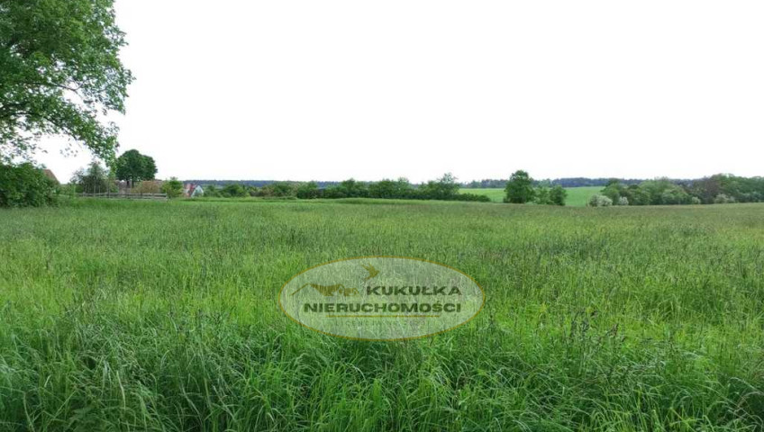 Działka Sprzedaż Świniary