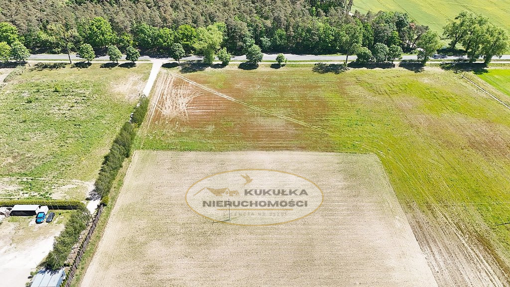 Działka Sprzedaż Kłodawa
