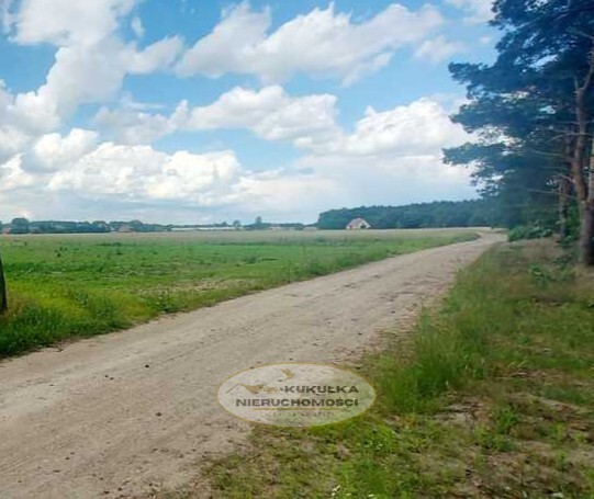 Działka Sprzedaż Dziersławice