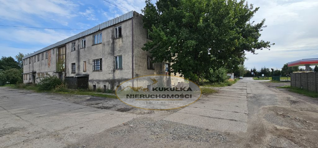 Obiekt Sprzedaż Dębno Chojeńska