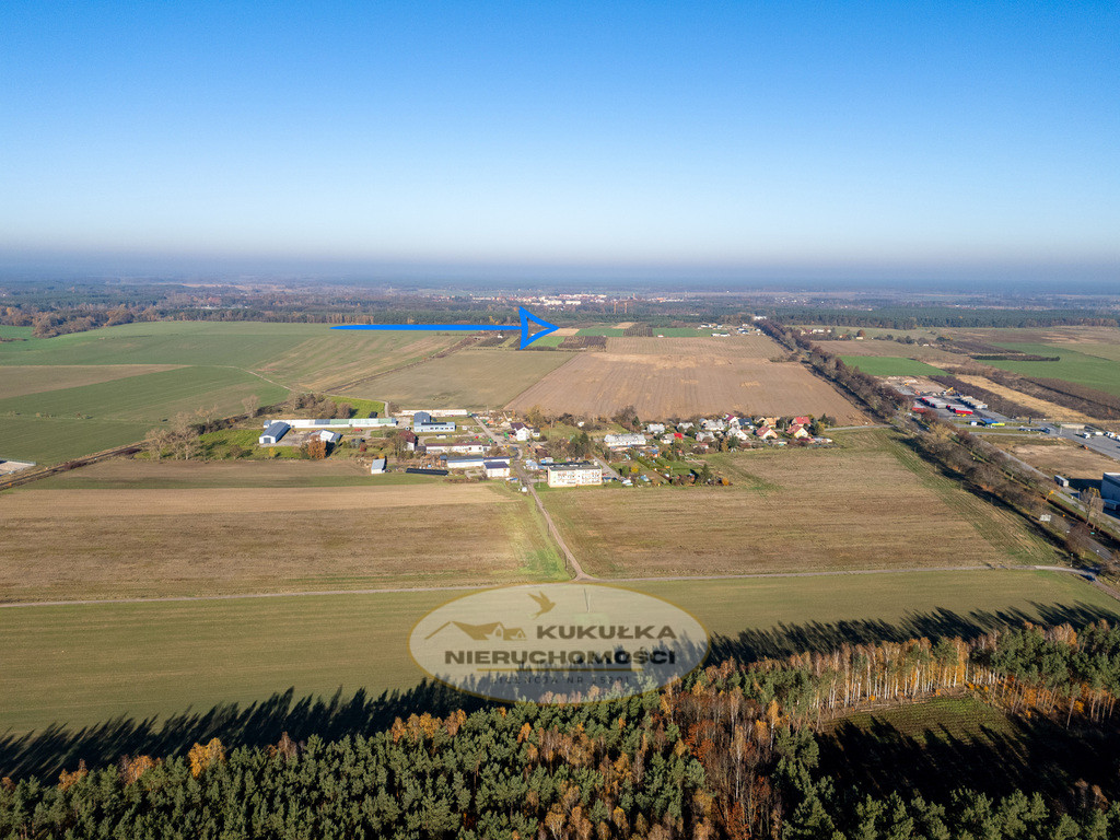 Działka Sprzedaż Skwierzyna Międzyrzecka
