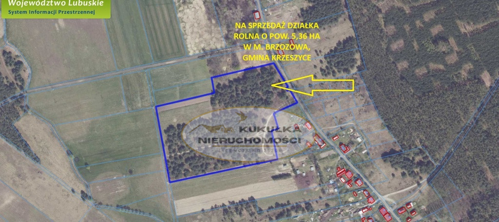 Działka Sprzedaż Brzozowa