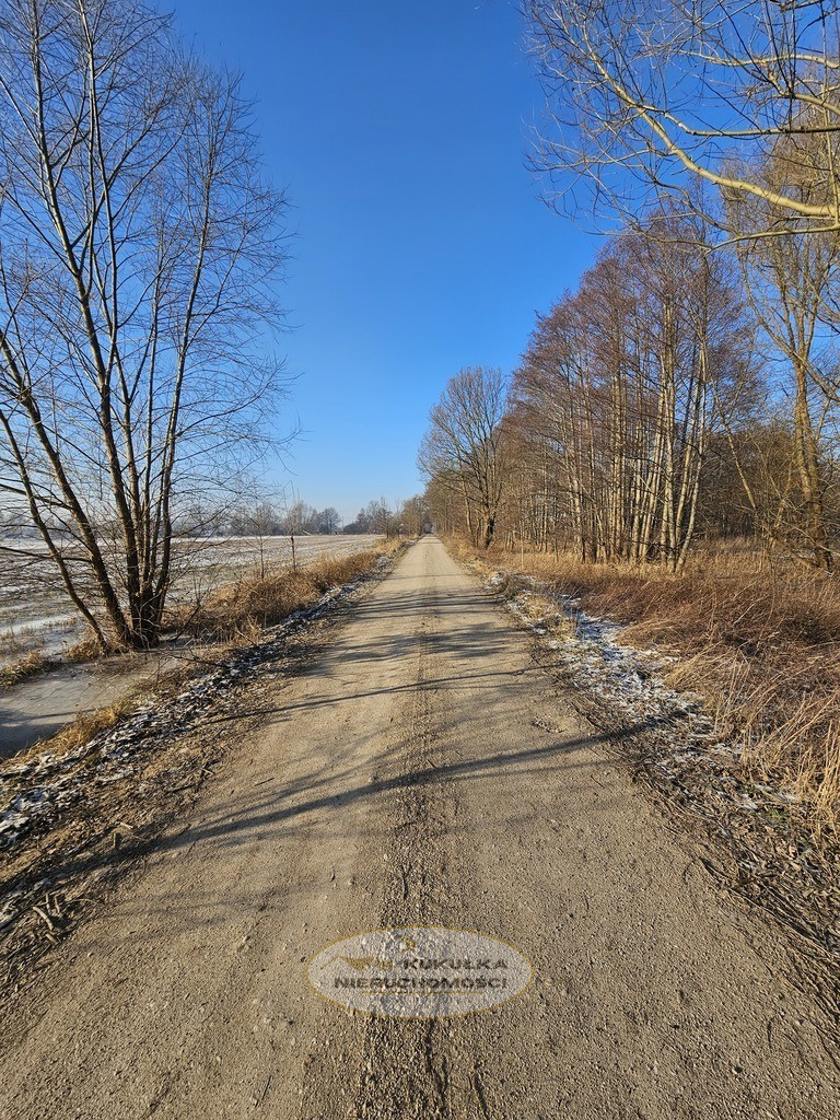 Działka Sprzedaż Ulim Rolna