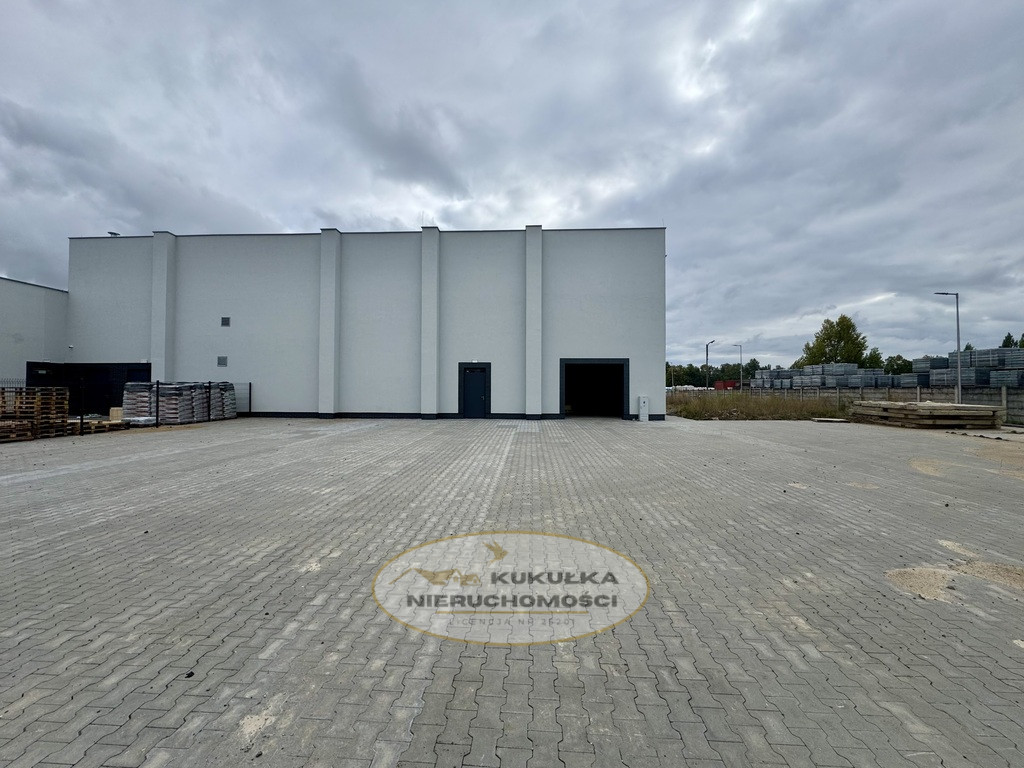 Lokal Wynajem Gorzów Wielkopolski