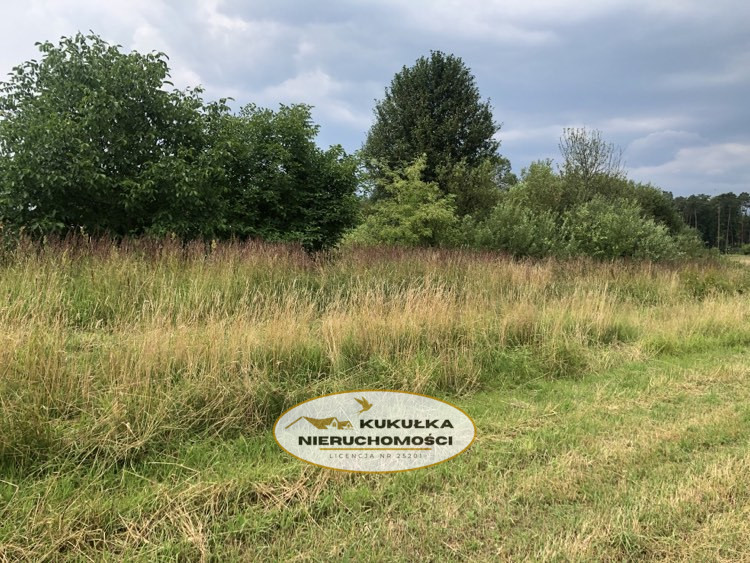 Działka Sprzedaż Danków