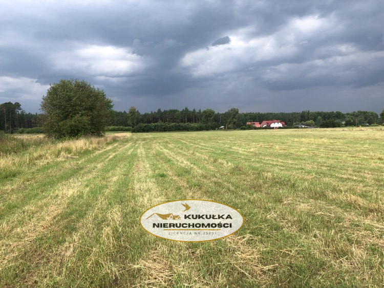 Działka Sprzedaż Danków