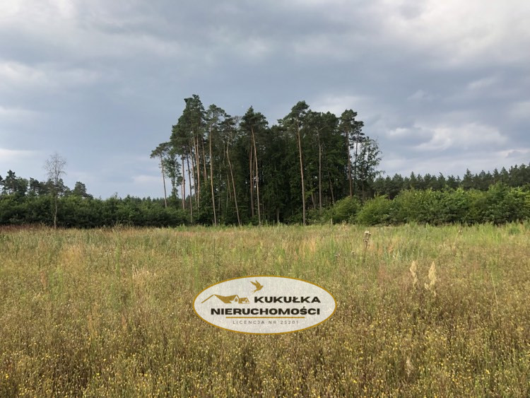 Działka Sprzedaż Danków