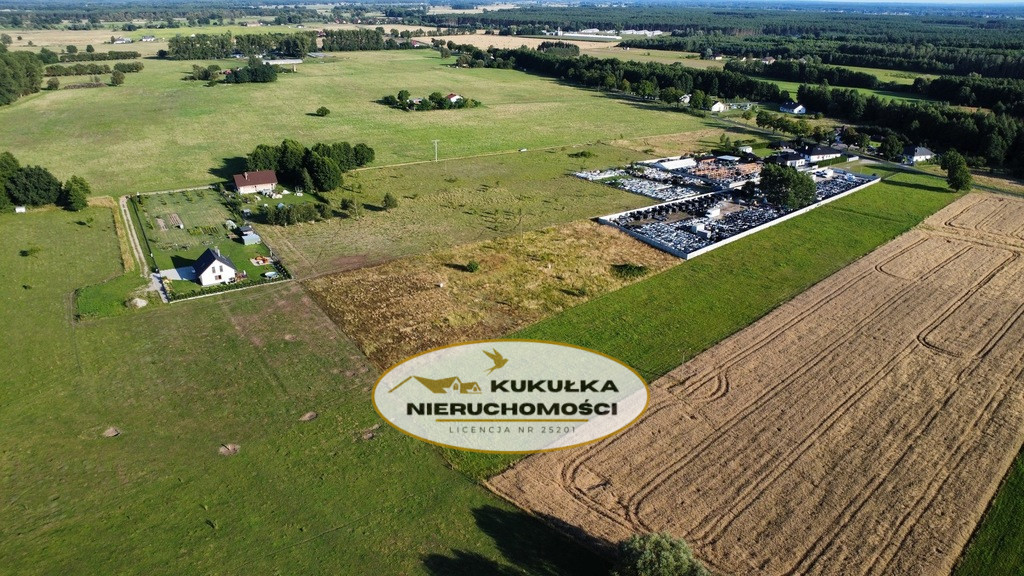 Działka Sprzedaż Borek