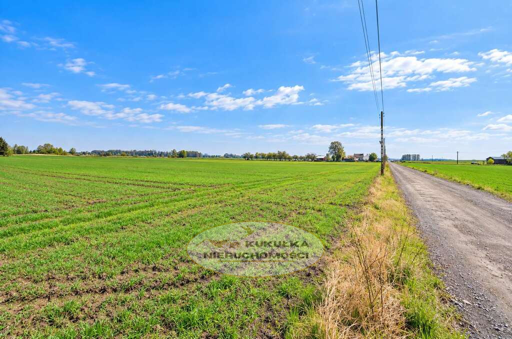Działka Sprzedaż Gorzów Wielkopolski Zakanale