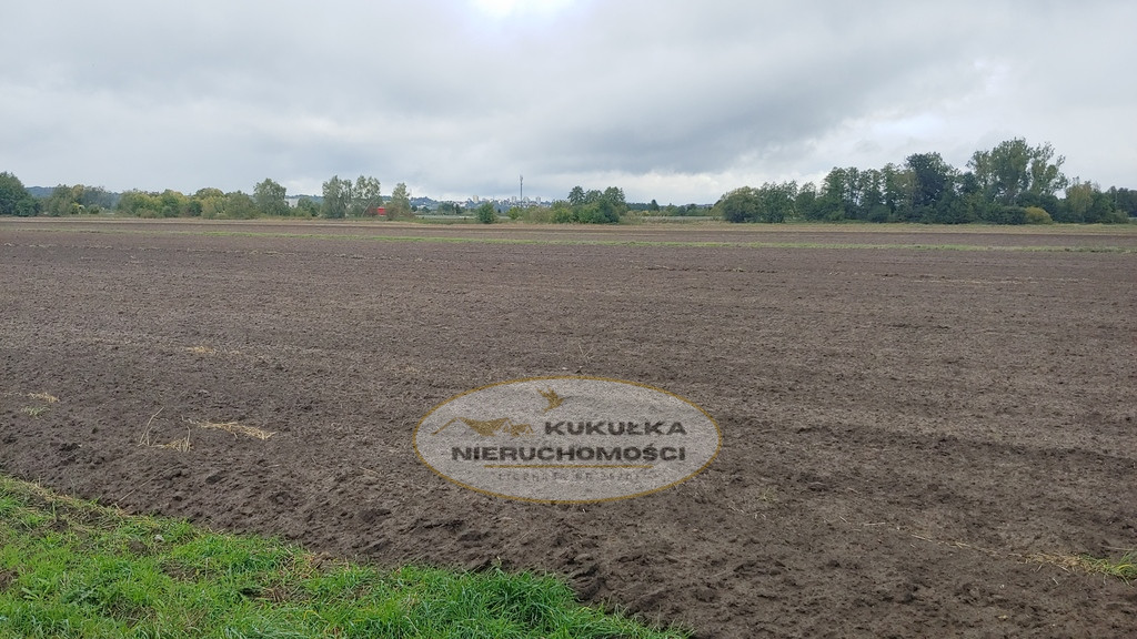 Działka Sprzedaż Gorzów Wielkopolski Zieleniec