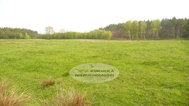 Działka Sprzedaż Kinice