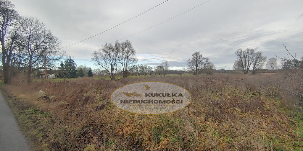Działka Sprzedaż Bolemin